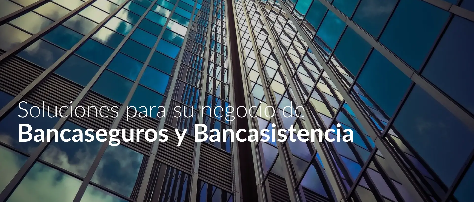Bancaseguros y Bancasistencia